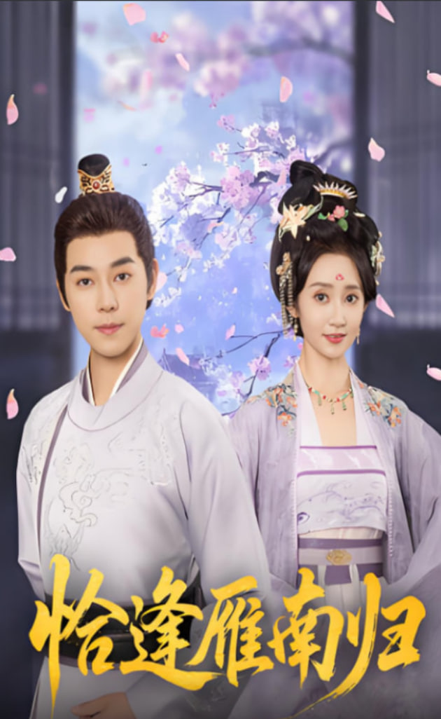 恰逢雁南归(全集)